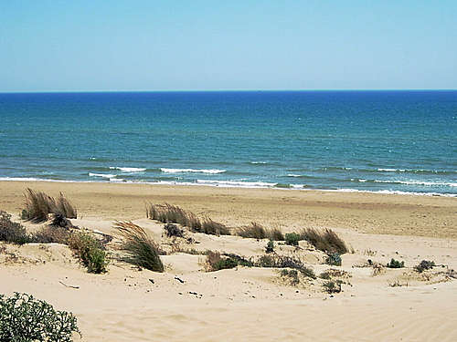 Affittosicilia